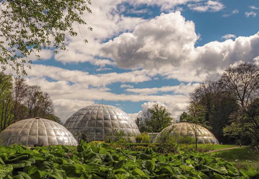 Arboretum Zürich, Switzerland